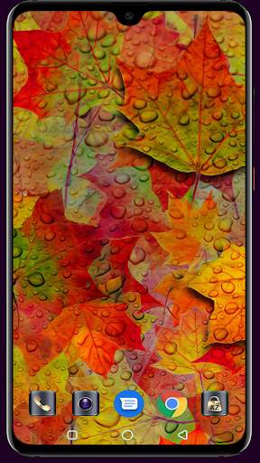 Autumn Wallpaper 4K Latest screenshot 10