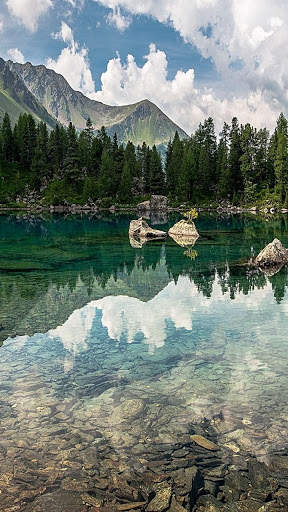 Nature Live Wallpapers screenshot 4