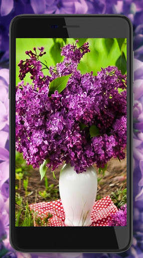 Lilac Flower Magic Live Wallpaper screenshot 2