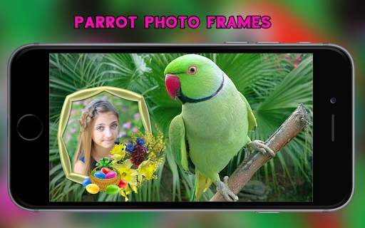 Parrot Photo Frames 2 تصوير الشاشة