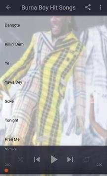 Burna Boy Songs screenshot 4