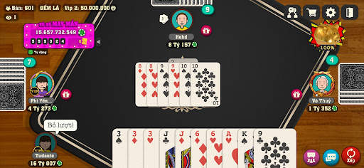 Thirteen Cards (Tien Len) screenshot 2