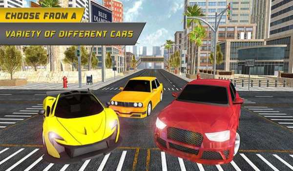 Driving License School 2017 screenshot 11