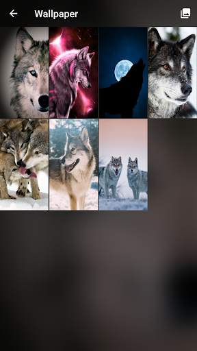 Wolf Pattern Lock Screen 6 تصوير الشاشة