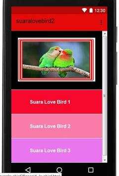Suara Kicauan Love Bird screenshot 1