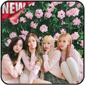 BlackPink Wallpapers KPOP 1.0