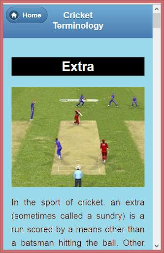 Cricket Language &Terminology screenshot 7