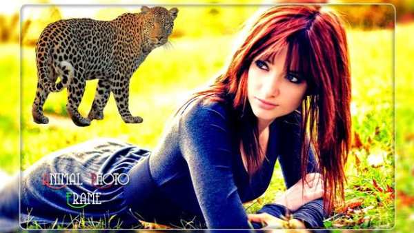 Wild Animal Photo Editor screenshot 1