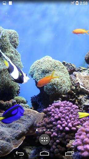 Underwater World Wallpapers screenshot 2
