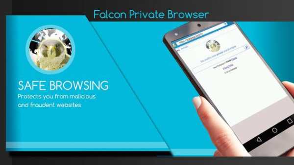 Falcon Private Browser screenshot 2