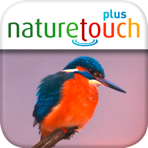 Identify live bird songs, naturetouch icon
