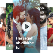 Full Screen Video Status icon