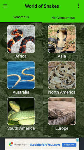 World of Snakes screenshot 2