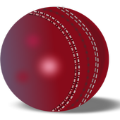 Cricket Livescore Widget icon