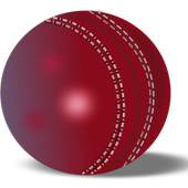 Cricket Livescore Widget 1.0