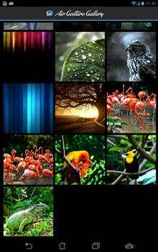 Air Gesture Gallery screenshot 4