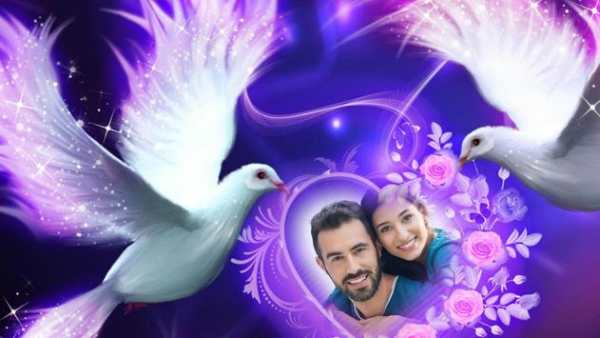 Love Birds Photo Frame Editor screenshot 3