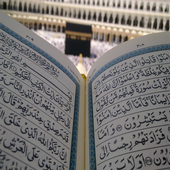 Quran Recitation Videos icon