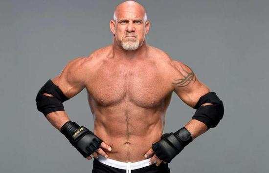 wwe all superstar : wrestler, best matches video screenshot 3