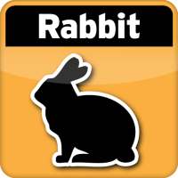 Rabbit Breeding Calculator