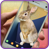 Bunny On Screen Prank icon