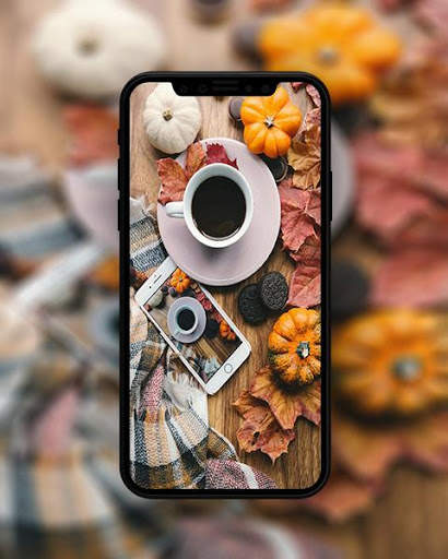 Autumn Wallpaper screenshot 3
