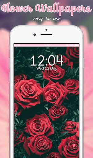 Flower Wallpapers and Backgrounds screenshot 2