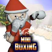 Mini Boxing