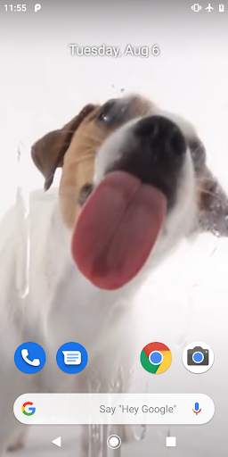 Dog Licking Live Wallpaper screenshot 2
