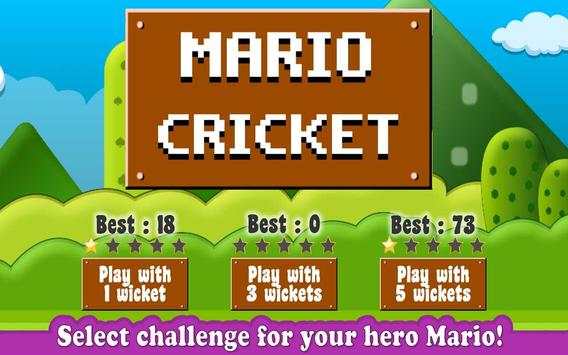 Mario Cricket World screenshot 2
