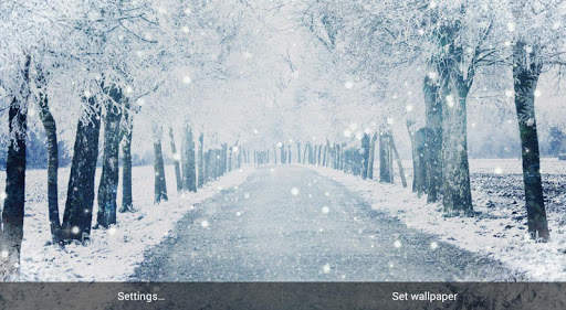 Winter Scenery Wallpaper screenshot 11