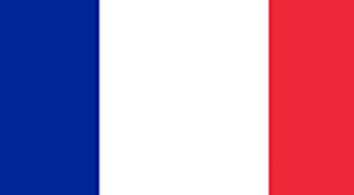 learn frensh articles le/la 1 تصوير الشاشة