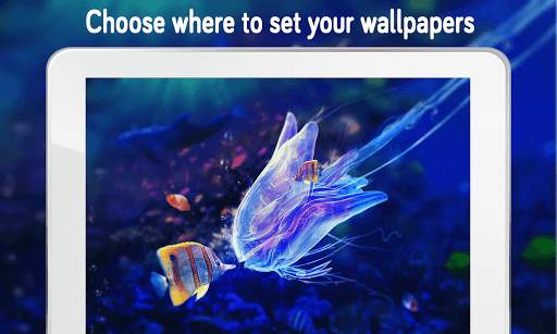 Fish Wallpaper (4k) screenshot 7