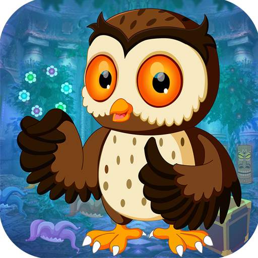 Best Escape Game 428 Night Owl Rescue Game 1.0.0