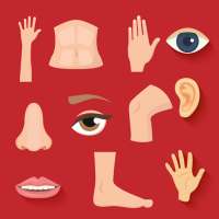 AtoZ Body Parts Prime icon