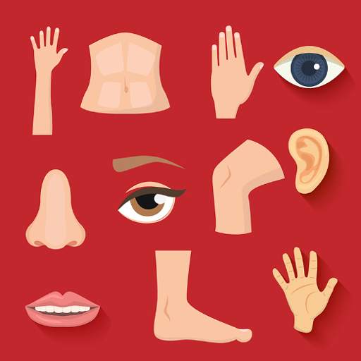 AtoZ Body Parts Prime 1.2
