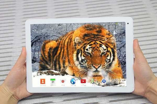 Tiger Live Wallpaper screenshot 1