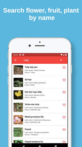 plant finder: plant, flower, fruit identification screenshot 2
