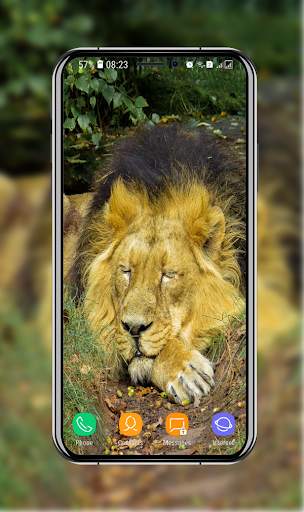 New Lion Wallpaper screenshot 12