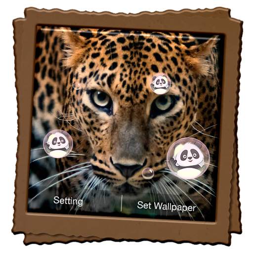 Leopard Live Wallpaper 4.2