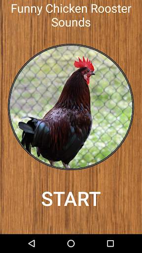 Funny Chicken Rooster Sounds screenshot 1