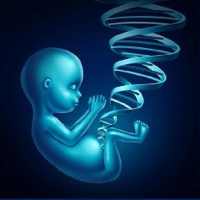 2nd & 3rd trimester OB/GY Ultrasound on 9Apps
