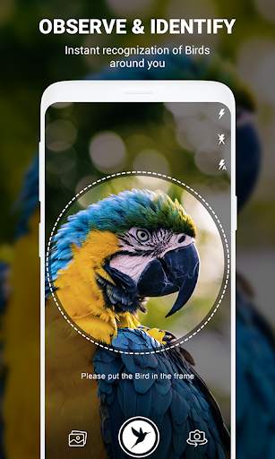 Birds Identifier App by Photo, Bird ID Camera 2020 screenshot 7