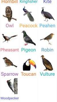 Birds Name with spelling and Picture 🐔 🐓 🐦 screenshot 3