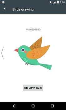 how to learn Draw Birds screenshot 9