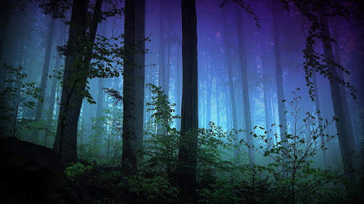 Nature Live Wallpaper : 7fon & LWP screenshot 10