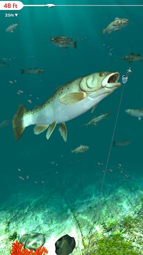 Rapala Fishing - Daily Catch screenshot 8