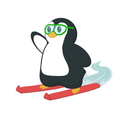 Ski Penguin - Fun Sports Game 1.2.3