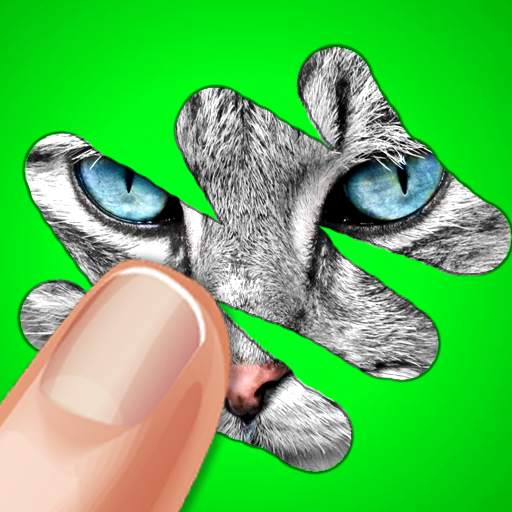 Scratch Game: Animals Quiz 6.0