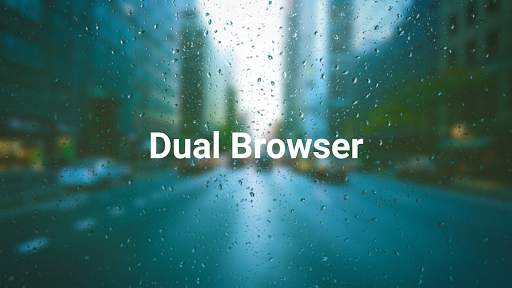 Dual Browser (Paid) Pro screenshot 4